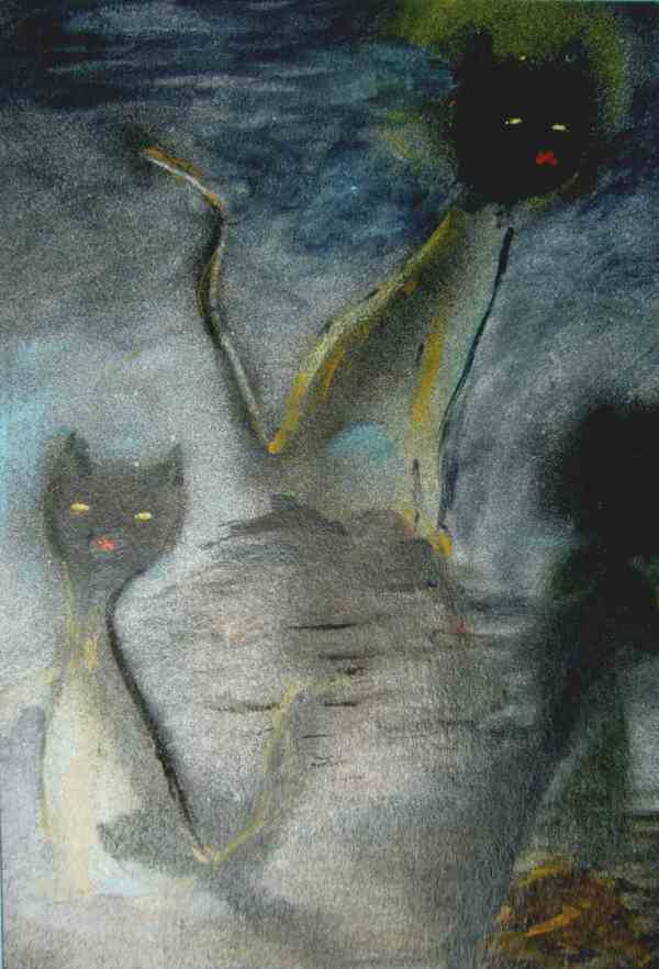 Nacht-Katzen
